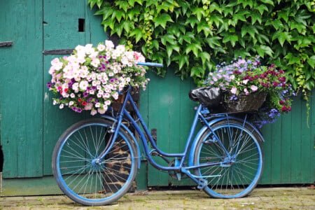 bicycle with flowers