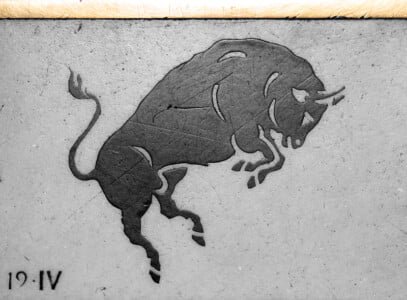 taurus bull floor